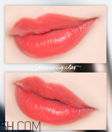 紀(jì)梵希小羊皮304是什么顏色？紀(jì)梵希小羊皮滋潤(rùn)嗎？