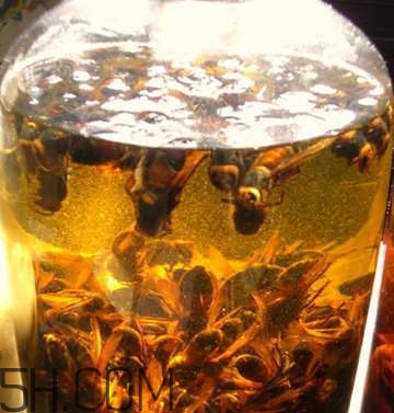 喝什么藥酒可以補(bǔ)腎壯陽(yáng)？補(bǔ)腎壯陽(yáng)藥酒什么時(shí)候喝好？