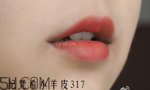 紀(jì)梵希304是西柚色嗎？紀(jì)梵希小羊皮304和317哪個好看？