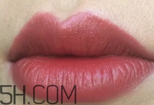 nars mona是啞光嗎？nars mona干不干？