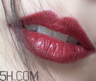 牛血色口紅哪個牌子好？牛血紅口紅推薦