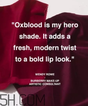 牛血色口紅哪個牌子好？牛血紅口紅推薦