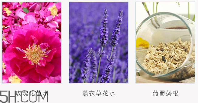 法蘭琳卡玫瑰精華露 法蘭琳卡玫瑰精華露