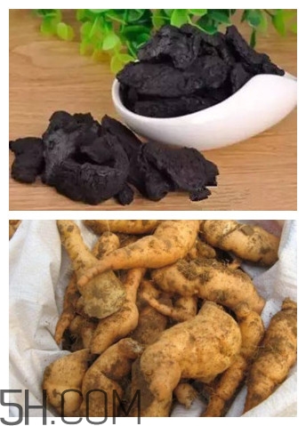 熟地黃與生地黃有什么區(qū)別？熟地黃有什么做法？