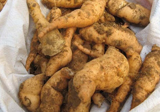 鮮地黃為什么要冷凍？鮮地黃有沒有什么副作用？