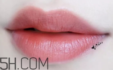 burberry口紅97和93哪個好看？burberry巴寶莉97和93對比