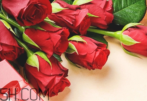 女生說so是什么意思？女生說so該怎么回答