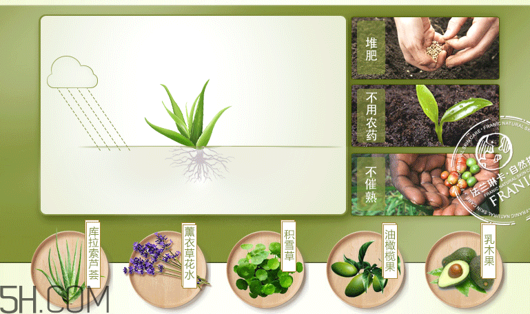 法蘭琳卡清透補(bǔ)水霜 法蘭琳卡清透補(bǔ)水霜