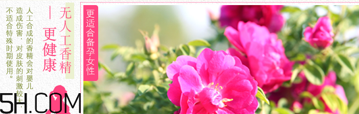 法蘭琳卡粉嫩補(bǔ)水保濕霜 法蘭琳卡粉嫩補(bǔ)水保濕霜