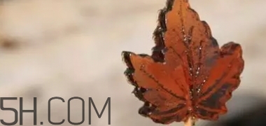 楓糖色口紅是什么顏色？楓糖色口紅試色