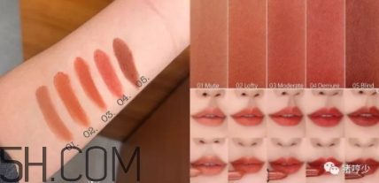 楓糖色口紅哪個牌子好？楓糖色口紅推薦