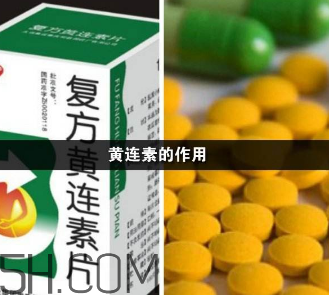 黃連素能降血糖嗎？黃連素能經(jīng)常吃嗎？