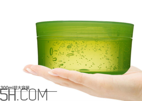 自然樂(lè)園是哪個(gè)國(guó)家的 自然樂(lè)園和自然共和國(guó)有什么不同