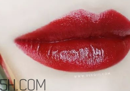 勃艮第酒紅口紅哪個(gè)牌子好？勃艮第紅口紅推薦