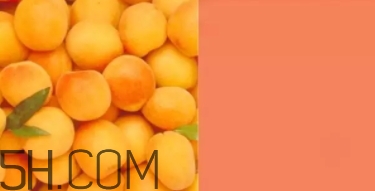 奶油杏是什么顏色？奶油杏色口紅試色