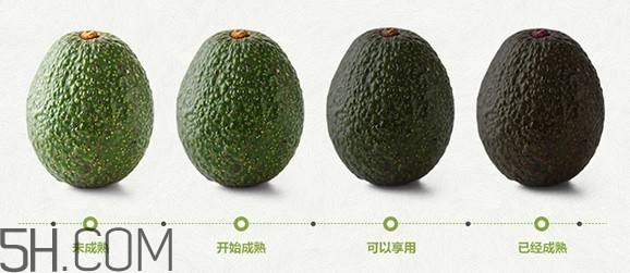 生牛油果可以放冰箱嗎？生牛油果怎么保存？