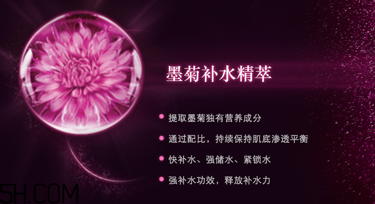 韓束墨菊精粹深度補(bǔ)水精華素 韓束墨菊精粹深度補(bǔ)水精華素