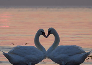 佛系前任是什么意思？佛系前任的標(biāo)準(zhǔn)和表現(xiàn)