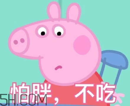 豬精女孩健康養(yǎng)生指南有哪些？豬精女孩健康養(yǎng)生指南是什么？