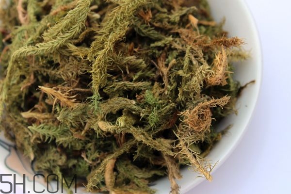 什么是伸筋草？伸筋草的功效與作用是什么？