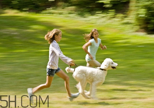 夜跑減肥的正確方法有哪些？冬天夜跑應(yīng)該怎么跑才能減肥？