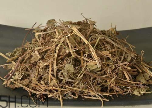 什么是透骨草？透骨草的功效與作用是什么？