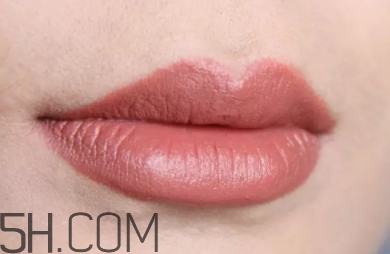 mac奶茶色怎樣涂好看？mac奶茶摩卡色畫法