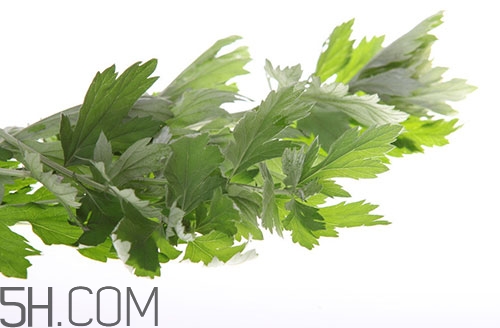 艾葉草洗澡有什么好處？怎么挑選艾葉草？