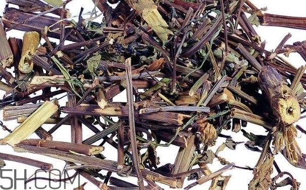 艾葉草洗澡有什么好處？怎么挑選艾葉草？