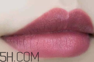 mac twig和brick o la一樣嗎？mac twig和brick o la試色對比