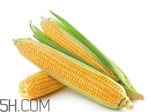 一根玉米可食部分多少克 一根玉米的可食用重量 一根玉米可食部分多少克 一根玉米的可食用重量