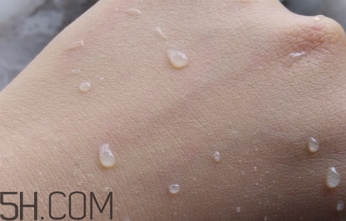 suhu尚惠銀杏氣墊cc霜多少錢？尚惠銀杏氣墊cc霜專柜價