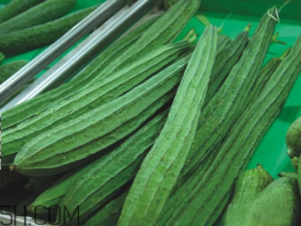 苦絲瓜能吃嗎？吃苦絲瓜會(huì)中毒嗎？