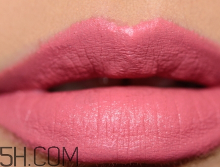 mac please me是什么顏色？mac please me試色