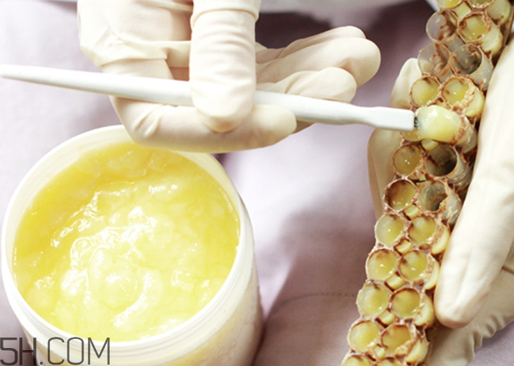 糖尿病人可以吃蜂王漿嗎？蜂王漿有什么功效與作用？