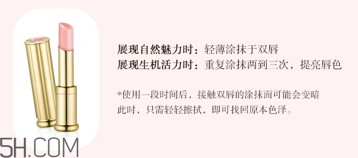 whoo后拱辰享美平紋潤(rùn)唇膏SPF10 whoo后拱辰享美平紋潤(rùn)唇膏SPF10