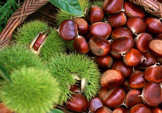 一歲寶寶能吃板栗嗎？寶寶吃板栗的做法有哪些？