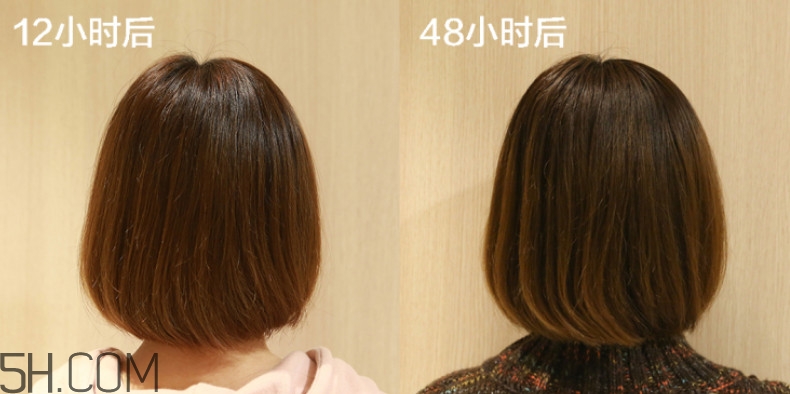 控油洗發(fā)水哪個效果好 真正三天不洗頭 控油洗發(fā)水哪個效果好 真正三天不洗頭