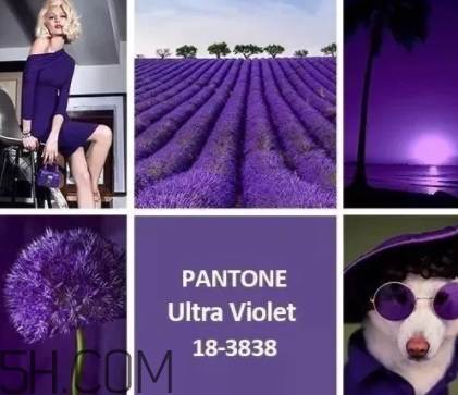 2018流行什么顏色衣服？2018流行衣服顏色搭配