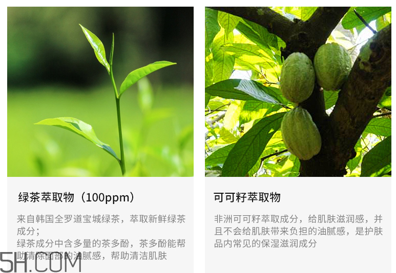 得鮮舒緩茶園綠茶潔面霜 得鮮舒緩茶園綠茶潔面霜