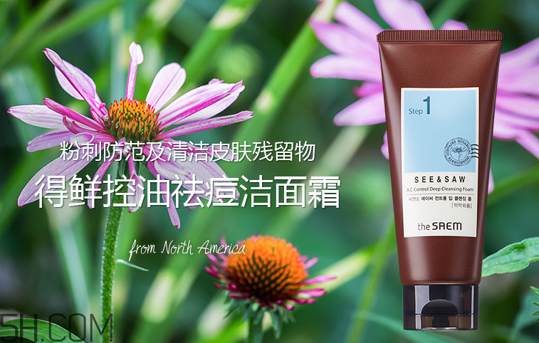 得鮮控油祛痘潔面霜 得鮮控油祛痘潔面霜