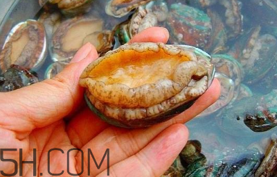 鮑魚怎么做好吃？吃鮑魚注意事項(xiàng)