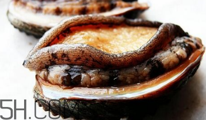 新鮮鮑魚怎么洗才干凈？鮑魚做法大全