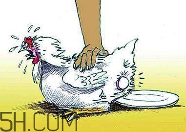 哪些食物補(bǔ)腦？補(bǔ)腦應(yīng)該注意些什么？