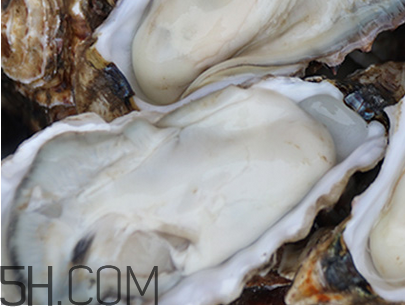 吃生蠔的功效和禁忌 吃生蠔的注意事項(xiàng) 吃生蠔的功效和禁忌 吃生蠔的注意事項(xiàng)