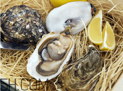 生蠔不能和什么一起吃？生蠔的營養(yǎng)價值