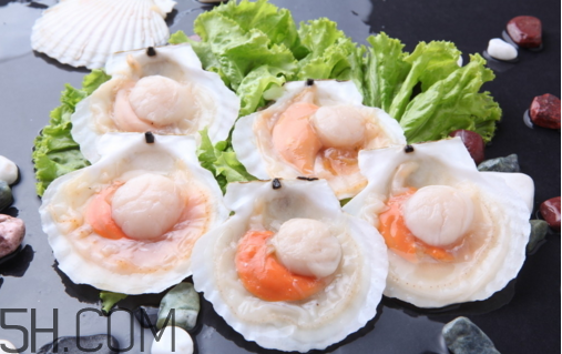 扇貝和生蠔有什么區(qū)別？扇貝和生蠔的營養(yǎng)價(jià)值