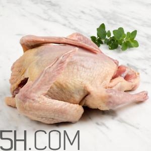 冬天吃什么肉好？冬天吃什么肉比較滋補身體？