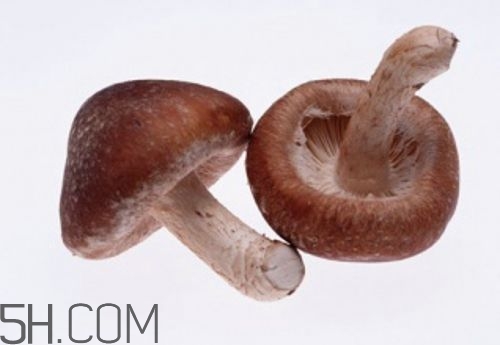 冬天吃什么肉好？冬天吃什么肉比較滋補身體？