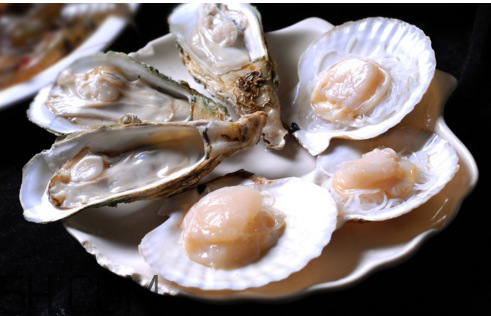 哪些人不能吃生蠔？吃扇貝和生蠔的注意事項